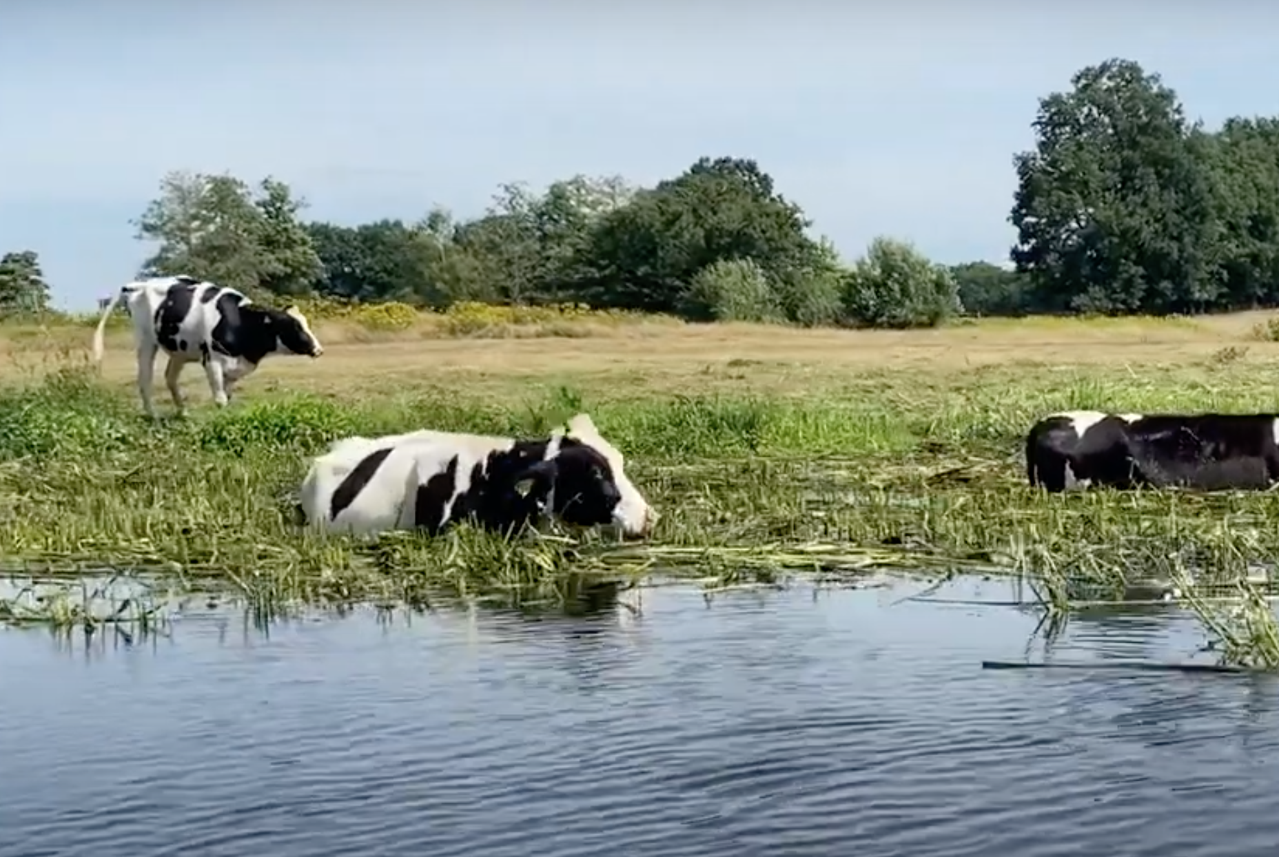Videoclip ‘Het Ommerlied’