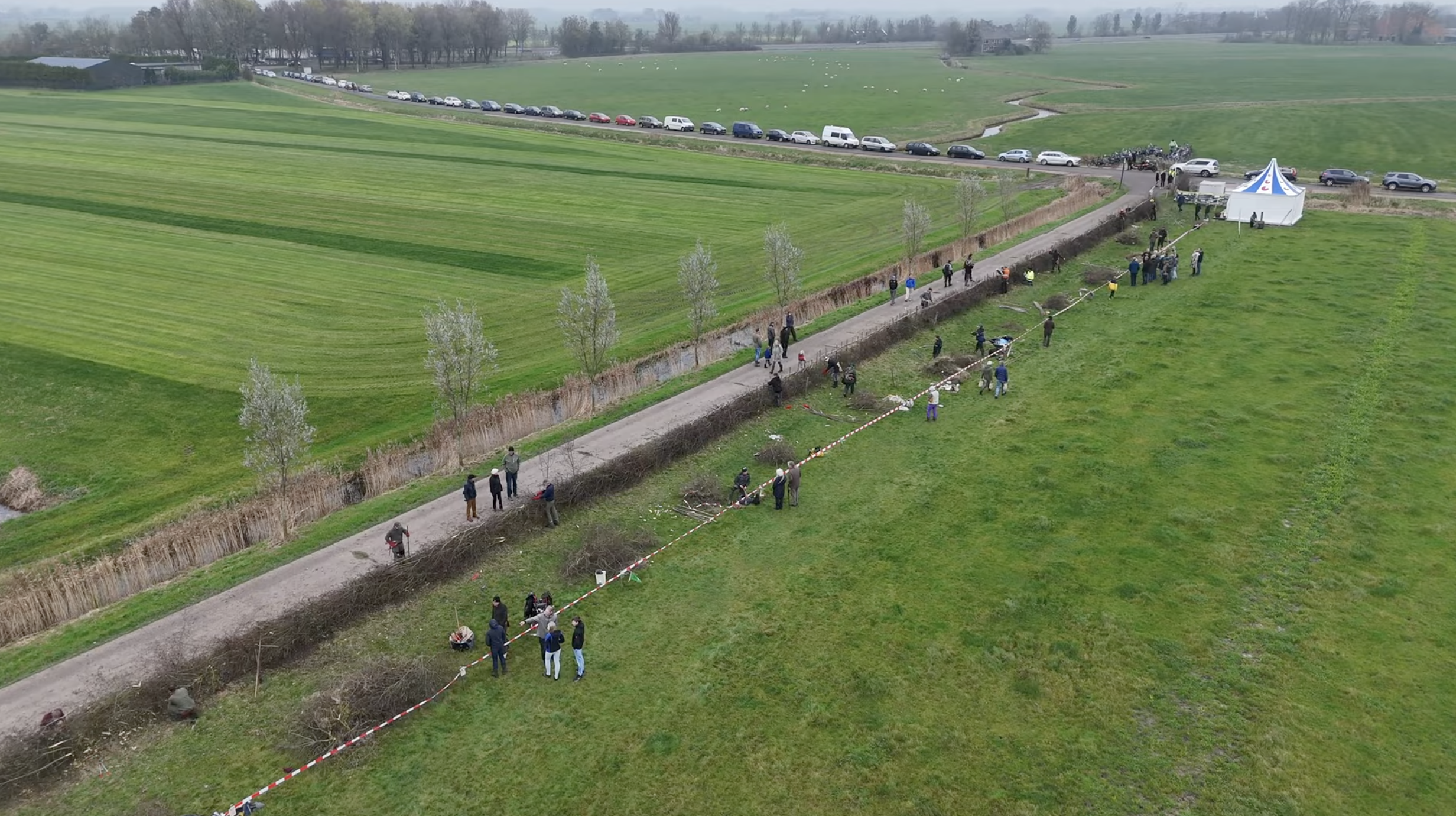 Heg en landschap – van bomen planten tot heggen vlechten